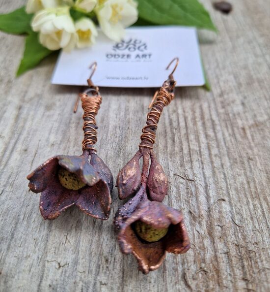 Vara auskari "Cilda"