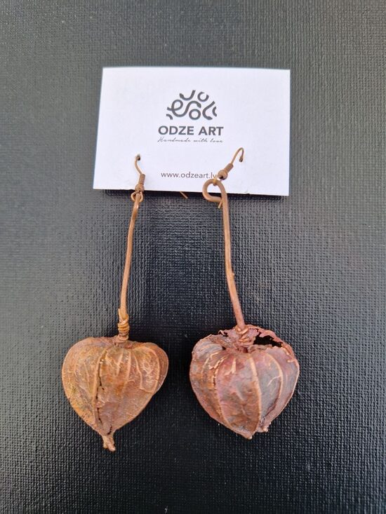 Vara auskari "Sēla"